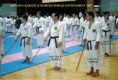 /album/fotogaleria-galeria/okk97-jpg/